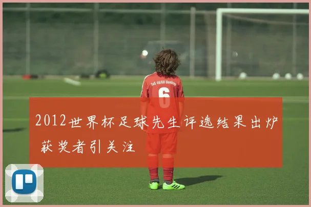 2012世界杯足球先生评选结果出炉 获奖者引关注