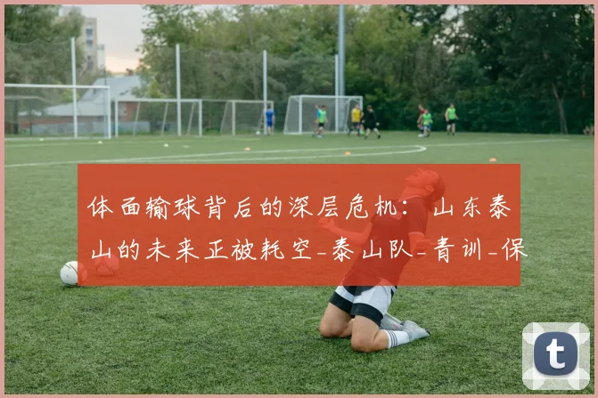体面输球背后的深层危机：山东泰山的未来正被耗空_泰山队_青训_保三争