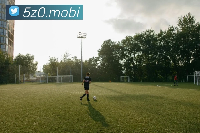 开云官方版网站登录入口 - 开云online(中国)APP 封面图